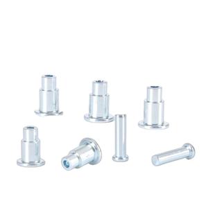 Personnalisation en <span class=keywords><strong>masse</strong></span> des rivets en acier semi-creux à tête plate à tête froide - Product Image 1