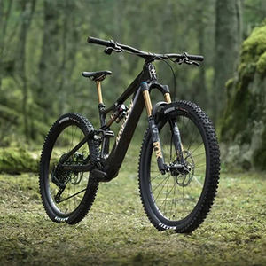 Bicicleta Eléctrica de Montaña Amflow PL Carbon 800Wh con Motor Central, 12 Velocidades, Batería de Litio, Cuadro de Carbono y Sistema de Suspensión Completo - Product Image 1