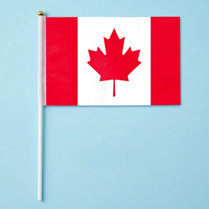 50 Bandiere Nazionali da Sventolare a Mano per la Coppa <span class=keywords><strong>del</strong></span> Mondo di Calcio 2026 (USA-Canada-Messico) - Top 32 Paesi - Souvenir per Partite di Calcio - Product Image 5