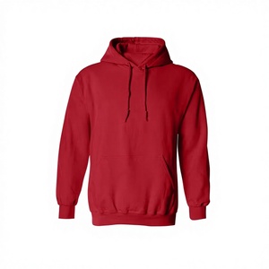 Sudadera con Capucha Unisex, de Algodón y Felpa, Informal, con Logotipo Personalizado Bordado, Ropa Deportiva Urbana, Moda de Invierno, Secado Rápido - Product Image 1