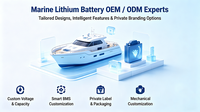 Batterie électrique pour bateau 48V/96V, 50-560Ah, étanche IP67, mise à niveau OTA à distance, énergie au lithium marine