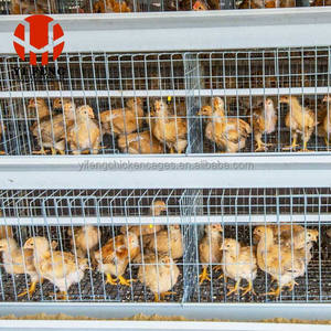 Jaula para Pollos <span class=keywords><strong>de</strong></span> 4 Niveles, Económica y Resistente al Óxido, 128 Unidades, para Granjas Avícolas en Etiopía, Jaula para Gallinas Ponedoras, en Oferta - Product Image 6
