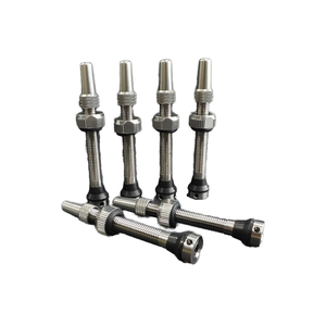 Titanium Alloy <b>Tubeless</b> <b>Valve</b> 60mm Bicycle Presta <b>Valve</b> Bicycle Accessories - Product Image 1