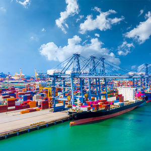 LCL الشحن البحري من شنغهاي إلى الولايات المتحدة الأمريكية خدمة DDU مع وكيل الشحن البحري بما في ذلك عنصر النقل بالشاحنات - Product Image 3