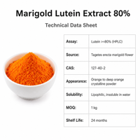 LCHBIO Usine en gros Lutéine 80% HPLC Extrait de Marigot (Tagetes Erecta) CAS 127-40-2 Poudre Naturelle pour le Soutien de la Vision Chine