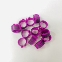 Vente chaude 10 Couleur Numérotée Identification En Plastique Oiseaux Clip Jambe Anneaux Pour Oiseaux Pigeon Pied Anneau