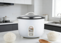 Autocuiseur Électrique Automatique à Contrôle Numérique avec Minuteur, en Acier Inoxydable, Capacités 3.6L, 4.2L, 5.6L, 6.6L, 8L, 10L, avec Tasse à Mesurer – Vente en Gros