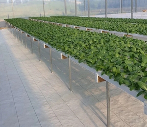 Pot de fleur et jardinière Kit de plantation à domicile hydroponique Nft <span class=keywords><strong>Mini</strong></span> canal en <span class=keywords><strong>PVC</strong></span> - Product Image 3