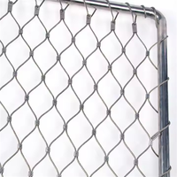 Maille de câble métallique de prix usine 304,316,316L maille d'acier inoxydable petit trou 20*20mm 8m * 10m rouleau pour le zoo de volière