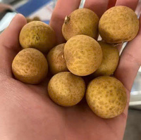 Vietnamese verse biologische longanvruchten voor export met stabiele aanvoer, concurrerende prijs, natuurlijke smaak, VietGAP gecertificeerd