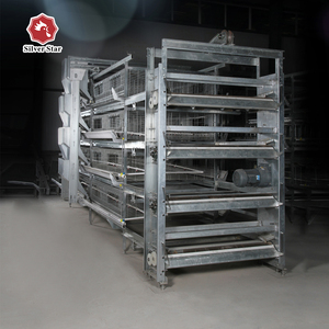 Bạc Sao Sản Xuất Pin H Loại Gà Thịt Lồng/Gà Thịt Nuôi Lồng - Product Image 5
