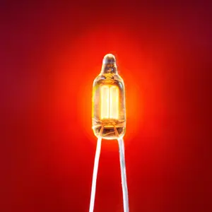 Ampoule néon/<span class=keywords><strong>lampe</strong></span> néon/<span class=keywords><strong>tube</strong></span> néon 6*16/6x16 - Product Image 1