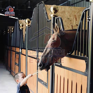 Box per Cavalli Personalizzato con Porta Scorrevole in <span class=keywords><strong>Legno</strong></span> per Stalle Equestri, Fattorie e Club di Equitazione - Product Image 3