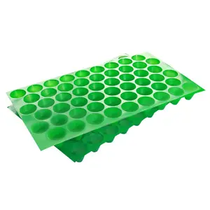 Transparent PET Seedling Tray with Different Hole for Melon Fruit Vegetable Seedling for Corn Pepper Tomato Nursery Trays & Lids