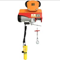 Nouvelle mini palan électrique 220V avec câble en acier, chariot de levage, poignée quatre directions, télécommande sans fil, 800KG, IP55, 1450W