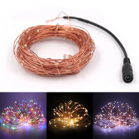 DC12V LED Zeichenlicht Märchenlichter 10 m 20 m 30 m Kupferdraht Girlande Led Weihnachtslicht warm weiß/weiß/RGB mit Netzteil
