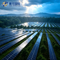 Kit Rak Surya PV Hutan dengan Ketinggian yang Dapat Disesuaikan, Sistem Pemasangan PV di Lahan Hutan untuk Konstruksi Pembangkit Listrik Tenaga Surya Ramah Pohon