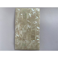 Feuille de coquillage naturelle de mer, 1 pièce, feuille de coquille d'abalone de nouvelle-zélande, pour l'artisanat artistique, bijoux de décoration de maison