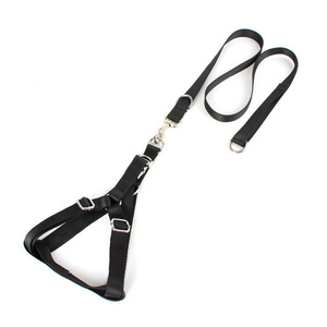 Conjunto de arnés y correa para perros y gatos de diseñador de lujo, nailon personalizado con función acolchada para caminar al aire libre - Product Image 2