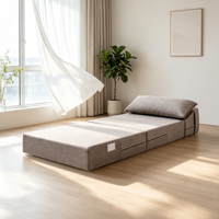 Canapé-lit pliable traditionnel en mousse compressée pour salon, chambre et hôtel, avec tissu doux, lavable et design portable