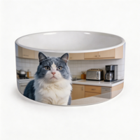 Gamelle en céramique élégante pour animaux de compagnie, en porcelaine, 15 cm, 18 cm, lourde, antidérapante, blanche, pour chien et chat