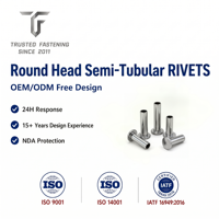 Remaches Semitubulares de Cabeza Redonda de Acero Inoxidable TianFang para Producción de Herrajes para Bolsos, Acabado Pasivado, Muestreo Rápido