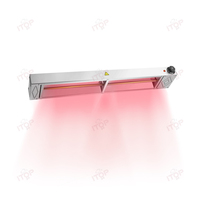 Équipement de cuisine, lampe chauffante pour aliments de restauration suspendue, chauffage électrique, lumière chauffante pour buffet suspendu pour restaurant