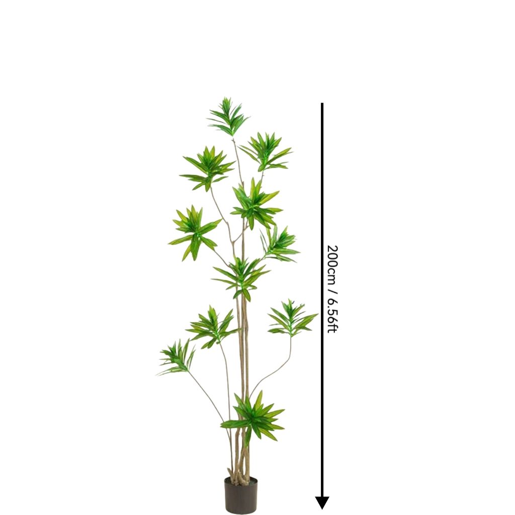 Vert 6,56 pieds/200 cm