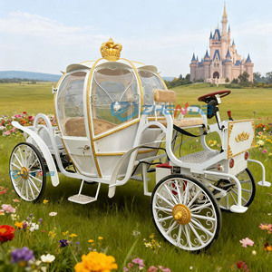Carruaje de Caballos Estilo Inglés para Turismo, Limusina de 6 Plazas, Carruaje Eléctrico sin Caballos - Product Image 3