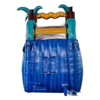 Tobogán Acuático Inflable de PVC de 17 pies, Tropic Shock, de Una Sola Vía, Comercial, para Exteriores