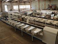 Defectdetectie Uiterlijk AI Fruit Diameter Maat Kleur Sortering CCD Beschadigde Mandarijn Citrus Visie Fruit Sorteermachine
