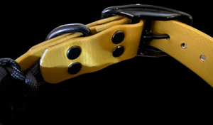 Collar de Perro Personalizado Ajustable de PVC Plástico Bioth Metálico Biothan con Cordón Negro y Herrajes de Hebilla Negra - Product Image 4