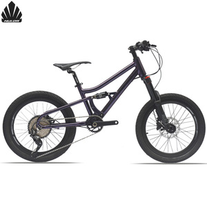Vélo de montagne pour enfants Hulda 20 pouces en alliage d'aluminium à double suspension 10 vitesses Vélo de cross-country - Product Image 1