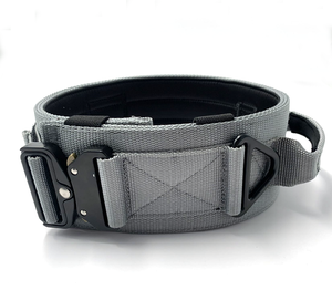 निर्माता नायलॉन व्यक्तिगत भारित भारी शुल्क धातु बकल कुत्ते प्रशिक्षण कॉलर - Product Image 1