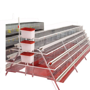 Cages à oeufs renforcées galvanisées à chaud pour les coopératives rurales coupe-vent durable pour l'élevage en grand groupe - Product Image 4