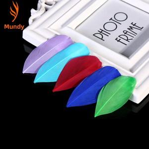 Têtes de plumes d'oie teintes écologiques, couleurs assorties, pour coiffes bohèmes, masques, fabrication de bijoux et décoration - Product Image 1