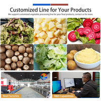 Kosteneffectieve gepersonaliseerde groentesalade productielijn: snij-, was- en centrifugemachine