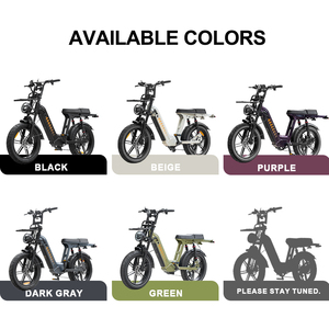 Bicicleta Eléctrica en Stock en la UE, Ebike D50 250W 48V 18.2AH, Freno de Disco Doble, Suspensión Doble, 20 Pulgadas, 50 km de Autonomía, Fatbike - Product Image 5