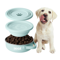 Bol pliable pour chien Everich, nouveau design 2 en 1, 30 oz, en silicone, portable, pliable, en acier inoxydable