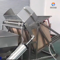 Industriële machine voor het lossen van fruit en groenten, aardappelen, wortelen, ananas, maïs; kratlosser en invoermachine