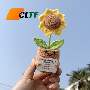 Mini Flor de Ganchillo Divertida y Positiva 2026, Regalo Emocional e Inspirador, Regalos de Agradecimiento para Mamá, Maestra, Hermana, Compañeras de Trabajo, Jefas - Product Image 3