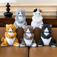 Peluche personnalisée super douce en forme de chat - Remplissage en coton PP - Doudou pour enfants