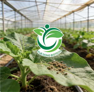 Trichoderma Longibrachiatum - Product Image 5