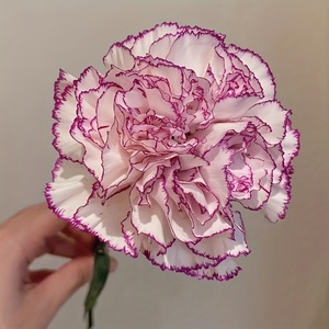 14 Élégantes Œillets Artificiels avec des Accents Violets - Envoyez des Bénédictions et de la Santé, Bouquets Artificiels Réalistes en Plastique - Product Image 3