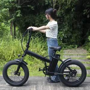 パワフルな20インチ電動自転車ファットタイヤ折りたたみ式大人用Eバイク300W600Wデュアルモーター電動マウンテンバイク