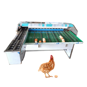 Empaquetadora clasificadora de huevos de aves de corral de clasificación pequeña de grado limpio - Product Image 1