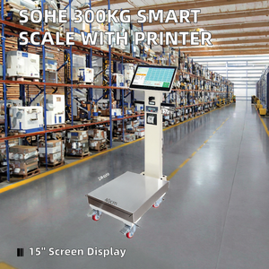 Báscula Inteligente Veidt con Pantalla LCD, Software de Impresión de Medidas, Pantalla Táctil a Color, Soporte Personalizado OEM y ODM - Product Image 5