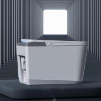 WC intelligent universel avec bidet électrique à double chasse, évacuation en S, OEM/ODM, pour hôtels