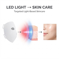 Système de luminothérapie faciale portable rechargeable avec LED infrarouges proches de 850 nm et 1072 nm