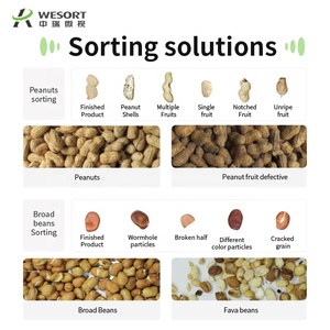 WESORT üretici 6SXZ-68 somun işlemci fındık antep fıstığı çam fındık fındık renk sıralama makinesi sıralama için kırık kalıpları - Product Image 3